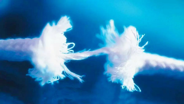 职场启示录:把每一次危机都当做生活考验 职场启示录:把每一次危机都当做生活考验