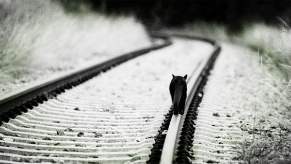 汽车服务O2O-Yocar周新楷:2014年,我们创业失败了 汽车服务O2O-Yocar周新楷:2014年,我们创业失败了