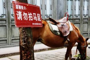 刘勇：不要拍马屁 让人舒服就好